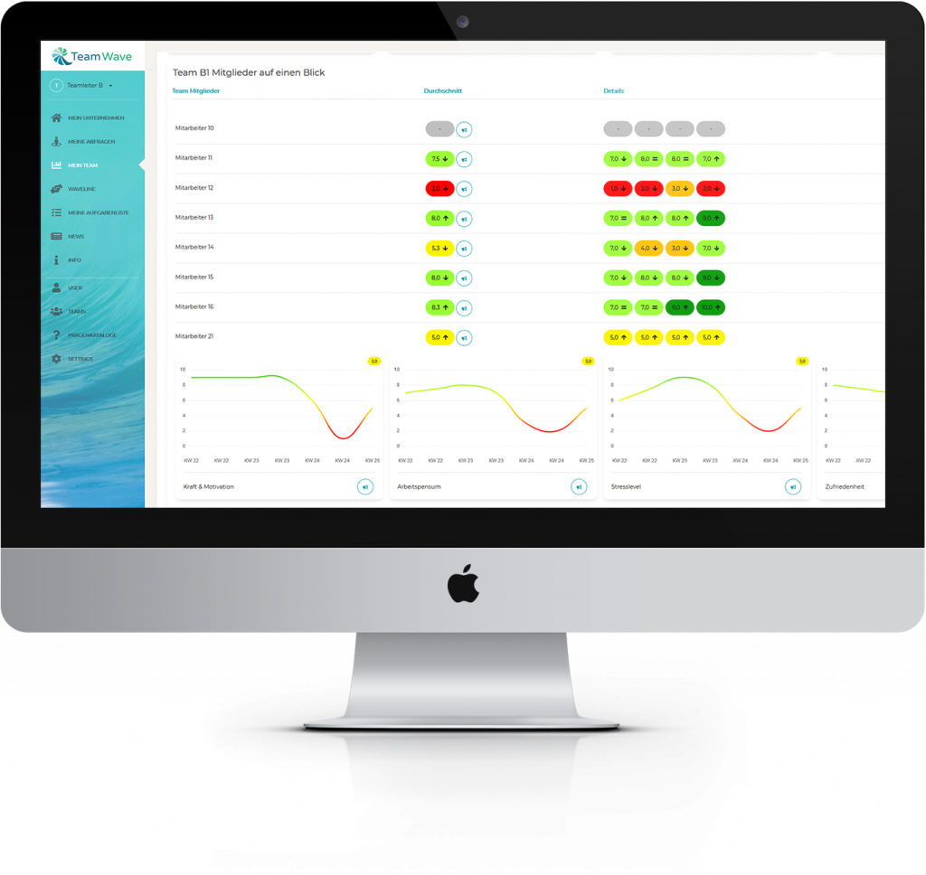 TeamWave – Webbasierte Social Teaming & Feedback Lösung, Produkt
